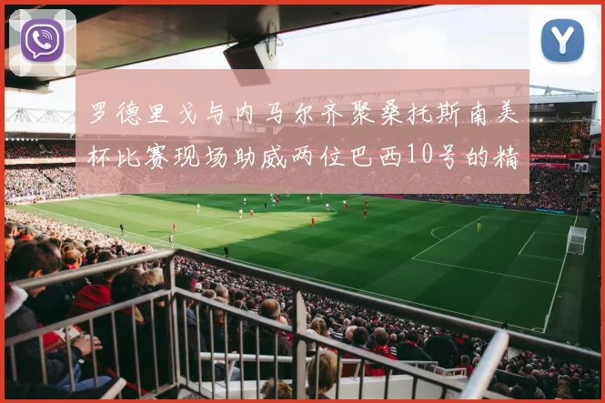罗德里戈与内马尔齐聚桑托斯南美杯比赛现场助威两位巴西10号的精彩时刻
